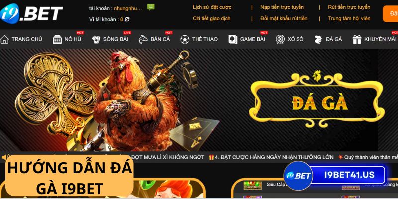 Khám phá thế giới đá gà online i9bet - Nơi may mắn luôn mỉm cười