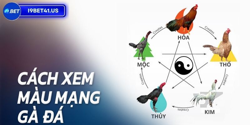 Những phương pháp xem màu mạng chuẩn xác 