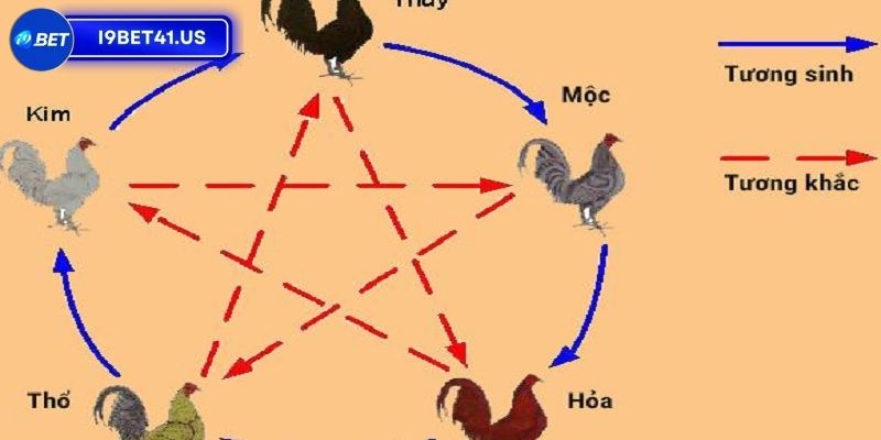 Tìm hiểu về khái niệm xem màu mạng gà đá ngày hôm nay 