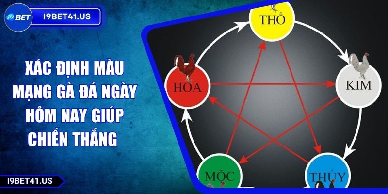 Xác Định Màu Mạng Gà Đá Ngày Hôm Nay Giúp Chiến Thắng 6 Xác Định Màu Mạng Gà Đá Ngày Hôm Nay Giúp Chiến Thắng