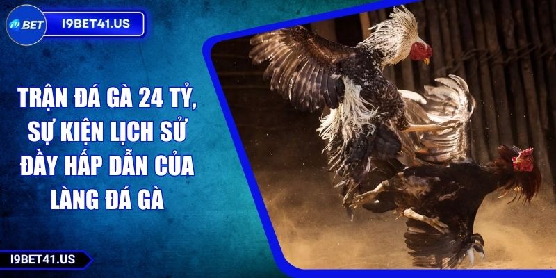 Trận Đá Gà 24 Tỷ, Sự Kiện Lịch Sử Đầy Hấp Dẫn Của Làng Đá Gà